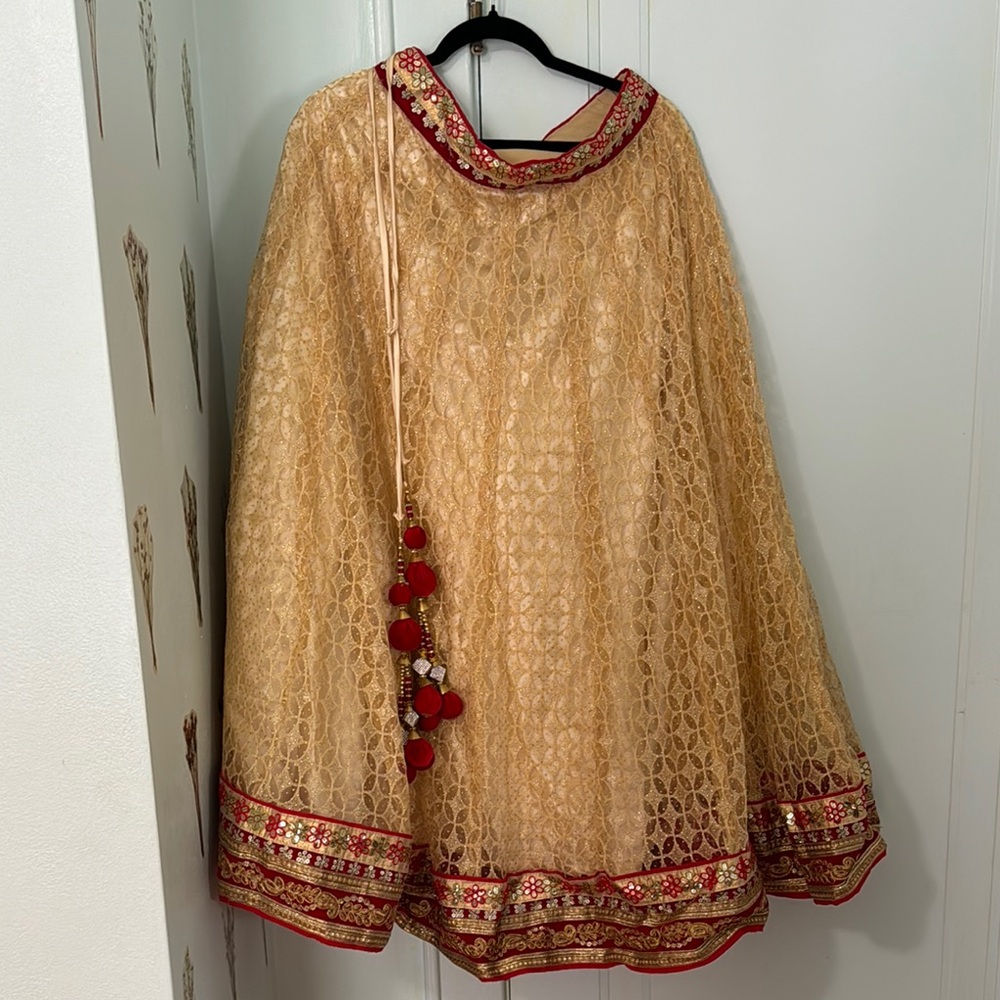 Elegant Gold and Red Embroidered Lehenga